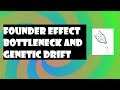 Genetic Drift and Population Dynamics
