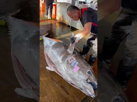 800 Pounds Giant Bluefin Tuna Cutting Skills #giant  #cuttingskills #skills