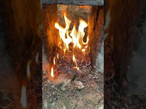 The past has become like this. The highest level of playing in the mud. Youtube assistant