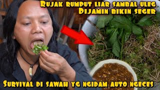 RUJAK RUMPUT LIAR SURVIVAL DI SAWAH BIKIN NGECES
