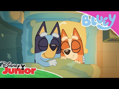 Secret Messages 🤫 | Bluey 💙 | Disney Junior Arabia