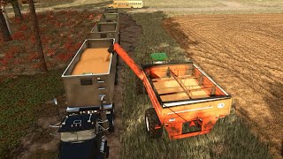 Waseca County Minnesota USA #13 | FS 25 | Farming Simulator 25