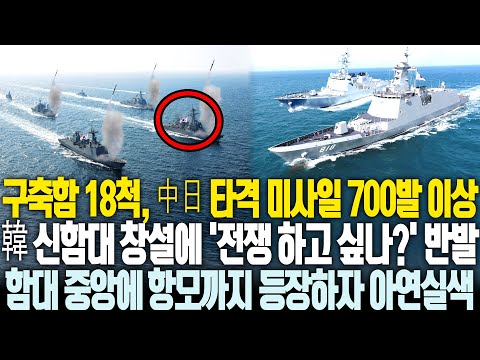 구축함만 18척에 미사일 700발 이상 보유, 한국 신함대에 '전쟁 하고 싶은거냐?' 반발까지 등장