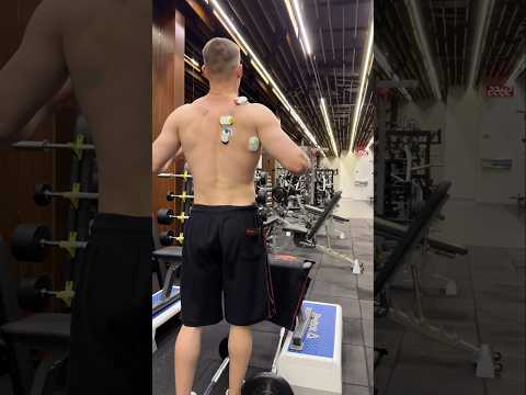 Верх спины по науке.За персональным планом обращаться в телеграмм:@TrainerSmirnoVV 🤝