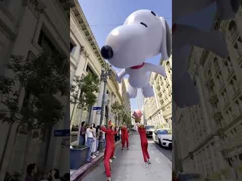 Snoopy the dog 🐶 #shorts #fyp #youtubeshorts