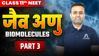 जैव अणु Biology in Hindi Class 11 Part 3 | Biomolecules Class 11 Biology NEET Line by Line NCERT