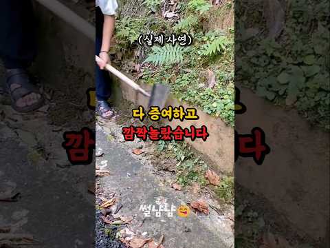 사별한 남편 땅 3천평 증여하고 깜짝놀랬습니다 #shorts #부부