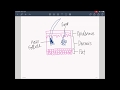 Functions of the Skin and Its Components