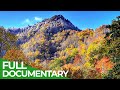Black Bear and Park Ecology