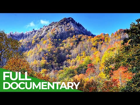 YouTube video thumbnail: The Great Smoky Mountains of North Carolina
