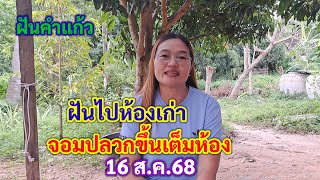 คำแก้ว ฝันไปห้องเก่า จอมปลวกขึ้นเต็มห้อง 16 ส.ค.68