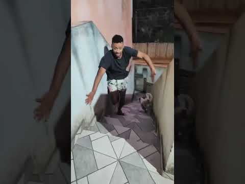 deu ruim para ele o cachorro pegou no flagra