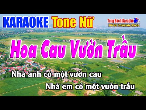 Hoa Cau Vườn Trầu Karaoke ( Tone Nữ ) Beat Chuẩn Nhạc Sống Tùng Bách