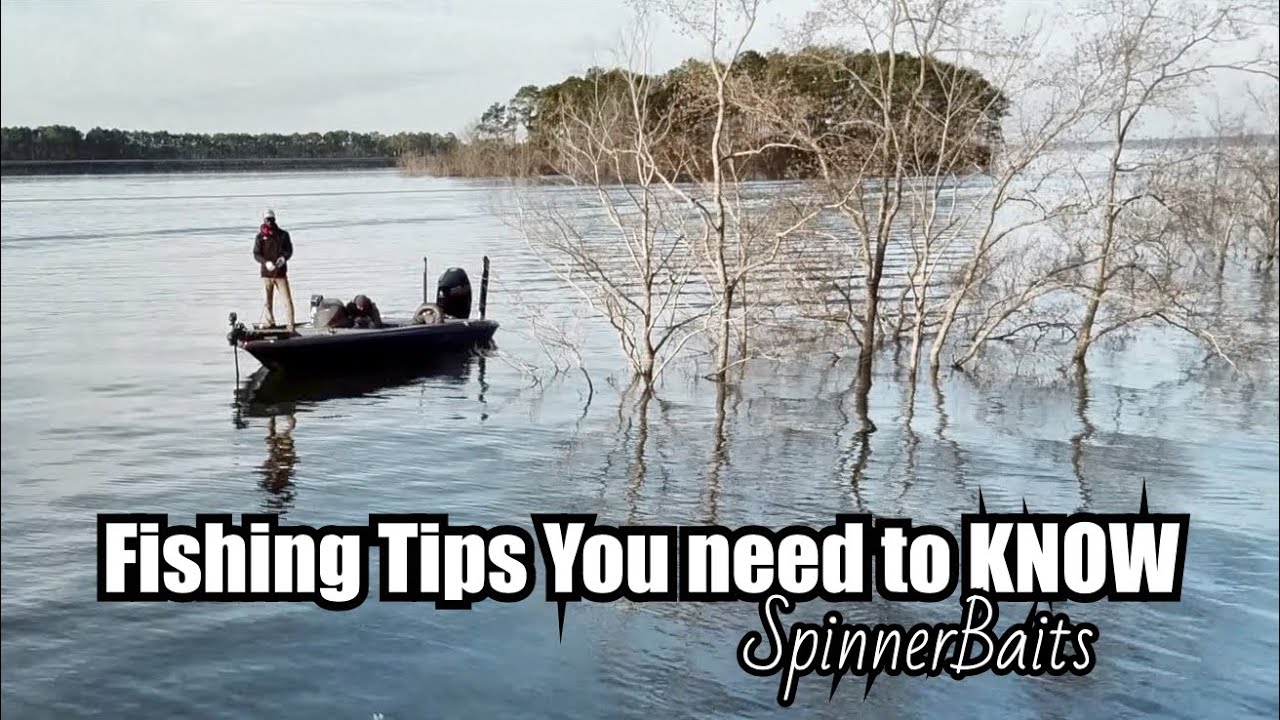 What You Need To Know About SpinnerBait - How To - B-Lat