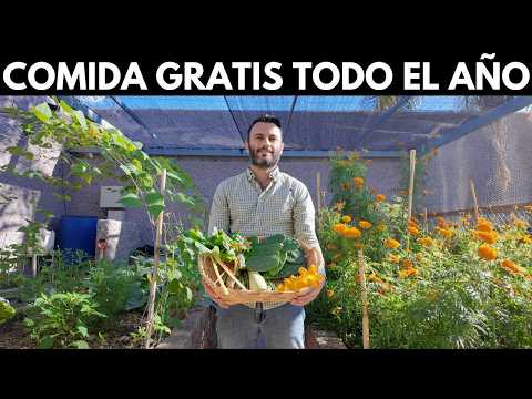 Transformó Su Patio en un Paraíso Urbano de Cultivo 🌿🌶️🍅🥬