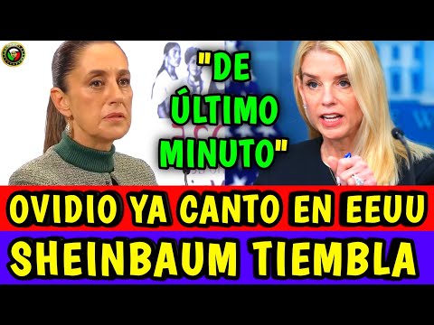 "OVIDI0 ya CANTÓ en EEUU" SHEINBAUM no lo Esperaba!! Están DESESPERADOS