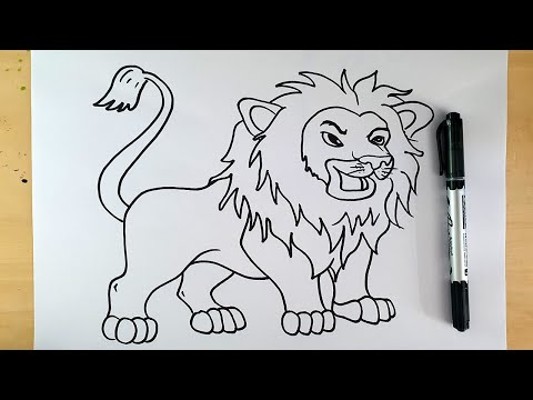 How To Draw A Lion Step By Step (Lion Drawing Easy)