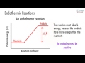 Endothermic and Exothermic Reactions