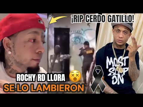 ¡COMFIRMADO!😵 Le Dan Pa Bajo A Cerdo Gatillo Rochy RD no lo Pudo Creer! Atencion Ramon Tolentino