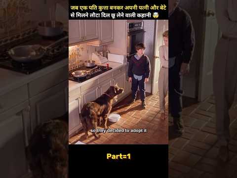 A Man Reincarnated as a Dog Returns to Protect His Family