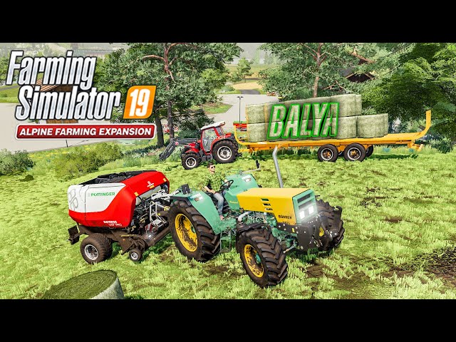 *ÇAYIRI BALYALADIK! İYİ VERİM ÇIKTI MI?*  FS19 Alpine DLC - Bölüm 23