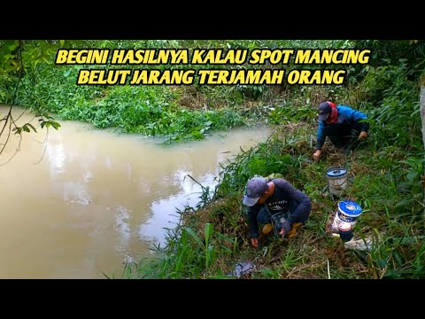 NGGAK ADA BEKAS ORANG MASUK KETEMPAT INI PANTAS BELUTNYA SANGAT BESAR BESAR