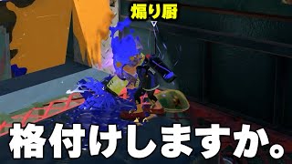 夏休み煽りイカを完膚なきまでフルボッコにしてみた結果ｗｗｗｗ【Splatoon3】