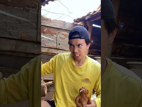 patung dari tanah liat