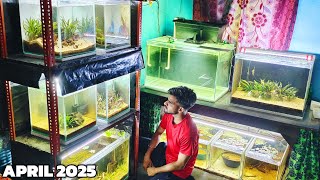 Room Tour Update | Watch all Problems and Updates in Aquariums & Fish