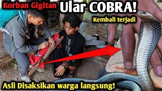 KORBAN GIGITAN ULAR COBRA KEMBALI TERJADI! TANGAN SUDAH MULAI MENGHITAM (imobilisasi)
