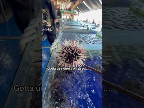 Buying Expensive Sea Urchin