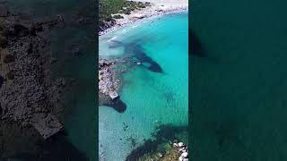 Sardinia Beach Calm  #searapysardinia  #relaxingvideo  #beach