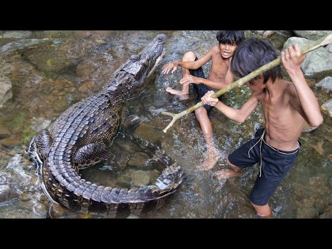 Primitive Technology - Eating delicious - Smart boy catch and cooking crocodile