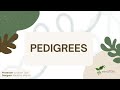 Understanding Pedigrees and Genetic Traits
