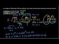 Population Genetics and Hardy-Weinberg