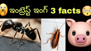 most ఇంట్రెస్ట్ఇంగ్ 3 facts #facts #shorts