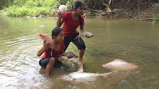 Skills catch fish by hand in river for food of survival, Fish salt chili roasted for dinner