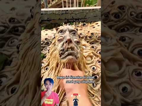 Kira kira ini hewan apa ya guys#faktaunik#infounik