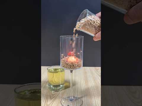 1000°C Red Hot Metal Ball VS Brown Beans 🫘 #experiment #scienceexperiment #satisfying