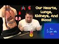 Human Body Functions and Organs