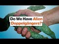 Evolution and Its Implications