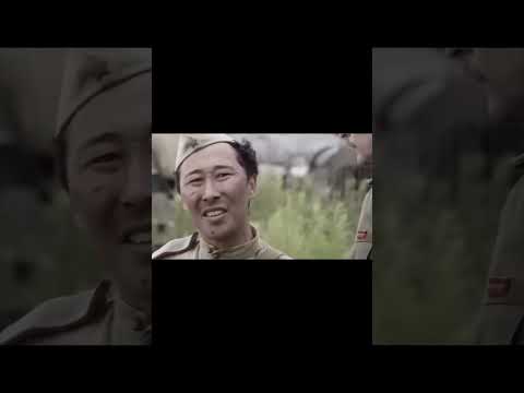 subscribe :) 803/1000 #белка #лес #военные