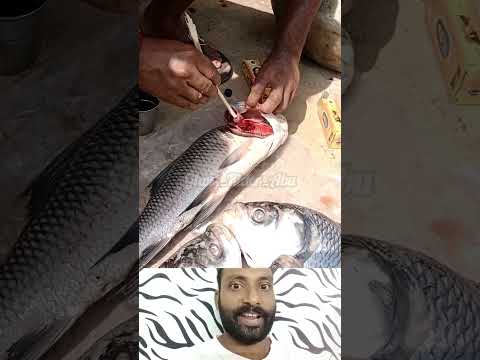 അപ്പോൾ ഇങ്ങനെ ഉള്ളതും നമുക്ക് കിട്ടുന്നുണ്ട് 😐