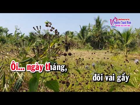 Karaoke ĐÔI CHÂN TRẦN -TONE NỮ