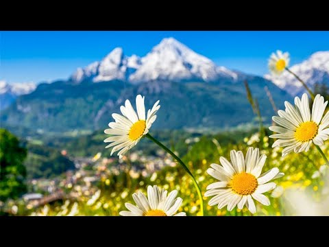 Switzerland &nbsp;AMAZING Beautiful Nature with Soothing Relaxing Music, 4k Ultra HD by Tim Janis
