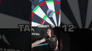 Around The World with Wessel Nijman! 🎯✈️ #darts #shorts