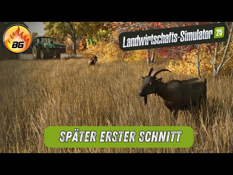 Sehr später Schnitt im November mit neuer Technik | LS25 USA #010 | LANDWIRTSCHAFTS SIMULATOR 25