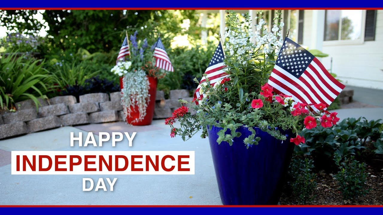 4th of July Containers #89