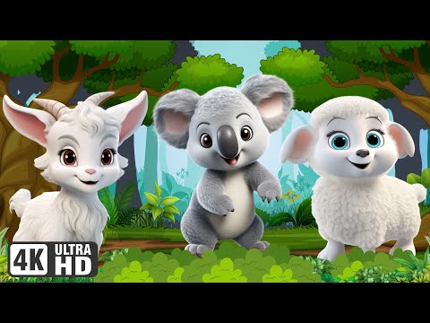 Farm Animal Videos: Sheep, Goat, Koala Bear, Chicken, Duck - Animal Sounds