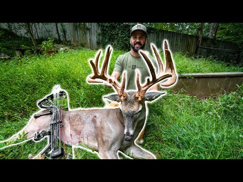 190" NON-TYPICAL From ATLANTA (Mr. Sparkles)